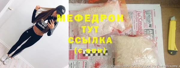 индика Ельня