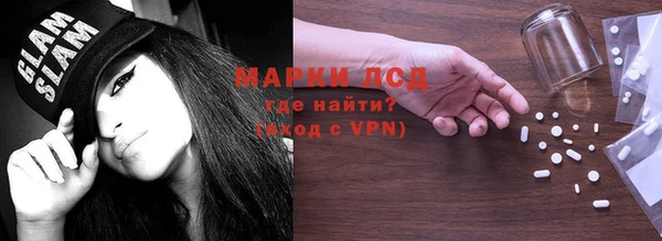 индика Ельня