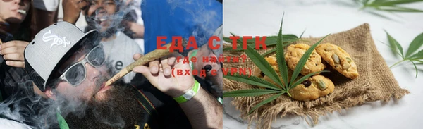 индика Ельня