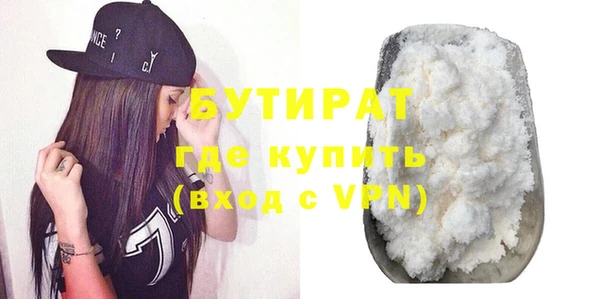 индика Ельня