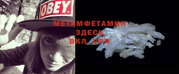 индика Ельня