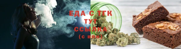 индика Ельня