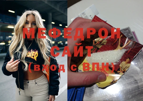 индика Ельня
