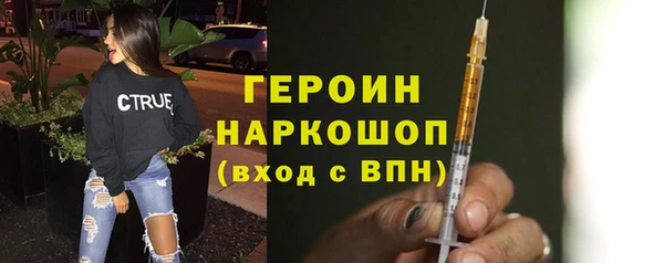 индика Ельня