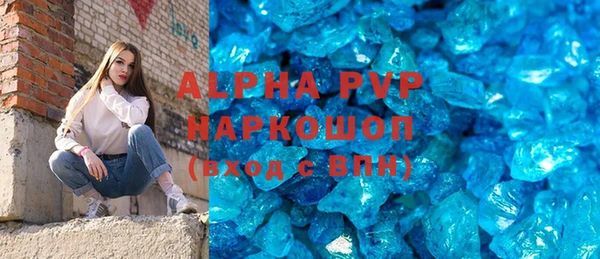 индика Ельня