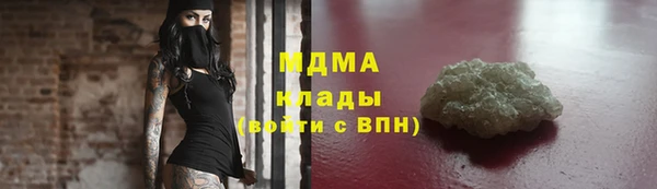 индика Ельня