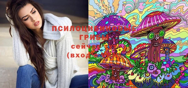 скорость Елизово
