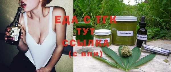 индика Ельня