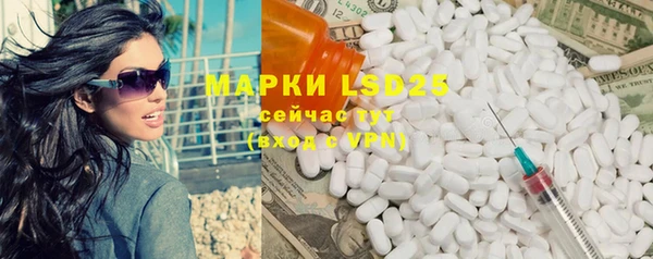 индика Ельня