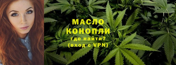 индика Ельня