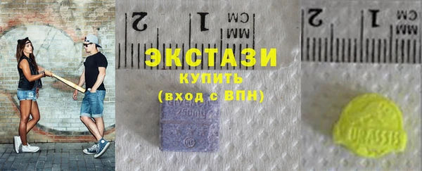 индика Ельня