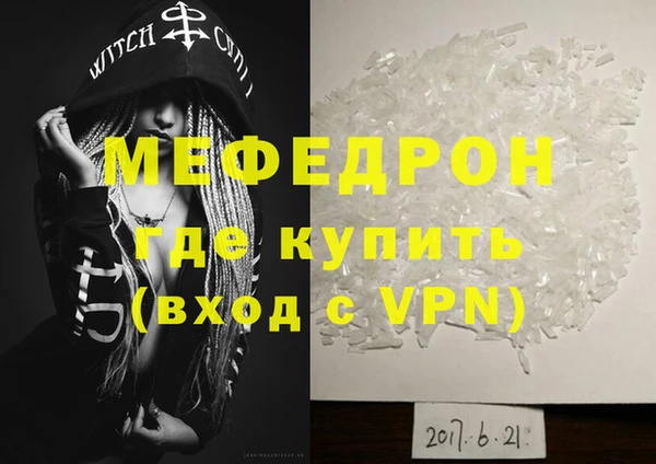 индика Ельня
