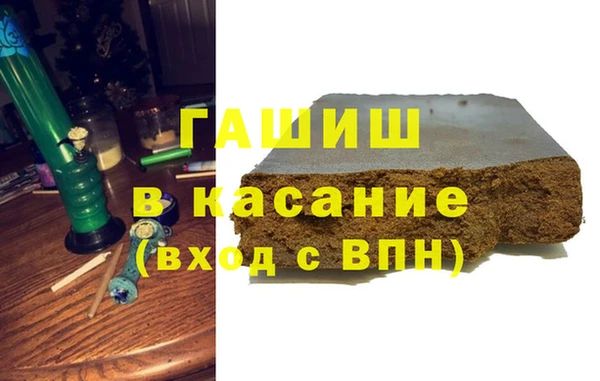 индика Ельня